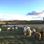 La Bergerie De Fenouillet, Domaine Ab En Pic Saint Loup * Vacquières
