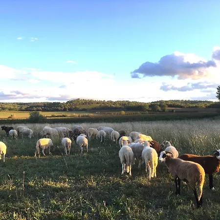 La Bergerie De Fenouillet, Domaine Ab En Pic Saint Loup * Vacquières