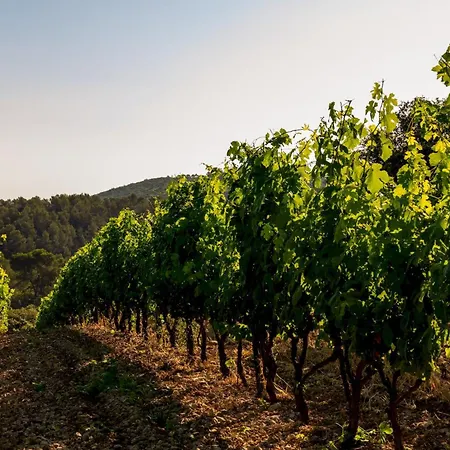 아파트 La Bergerie De Fenouillet, Domaine Ab En Pic Saint Loup *