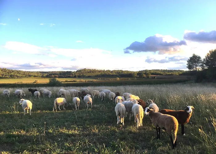 La Bergerie De Fenouillet, Domaine Ab En Pic Saint Loup * Vacquières