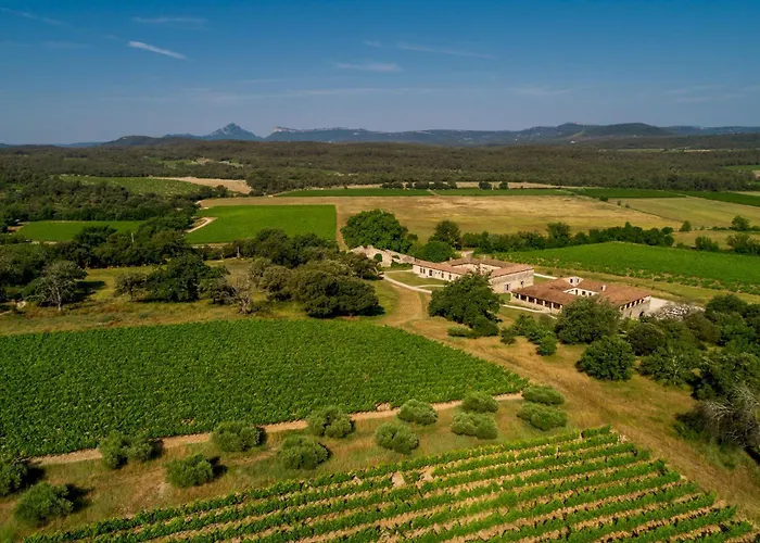 La Bergerie De Fenouillet, Domaine Ab En Pic Saint Loup * Vacquières